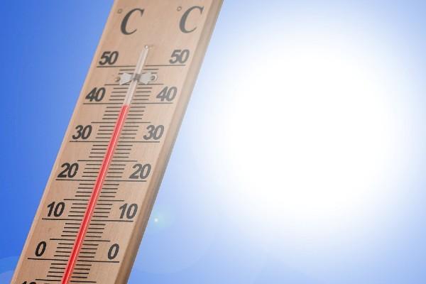 thermometer thermometer
