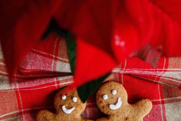 reconnect at christmas 600 x 400 reconnect at christmas 600 x 400